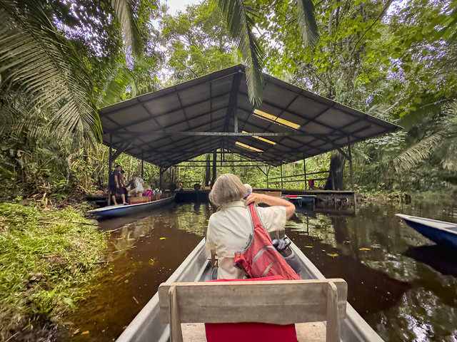 Approaching the Canoe Dock, Sacha Lodge, Amazonian Ecuador-4094