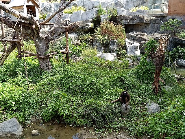 新竹市立動物園26