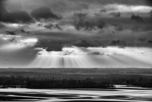 Light by ZeGaby, blackandwhitephotography landscape montagnedereims nature naturephotography noiretblanc paysage pays