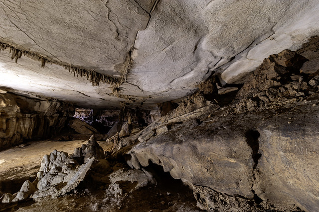 Hobbs Cave, Warren County, Tennessee