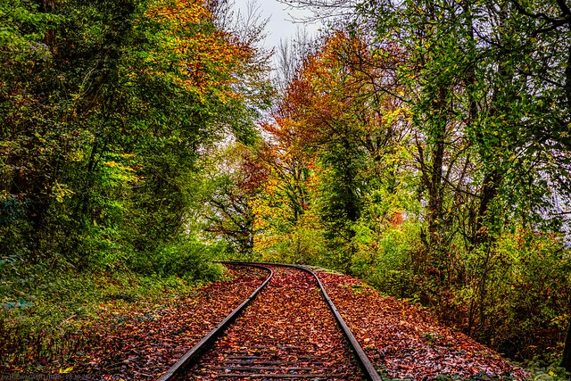Autumn Photowalk @ Pétange - Train 1900 Railway