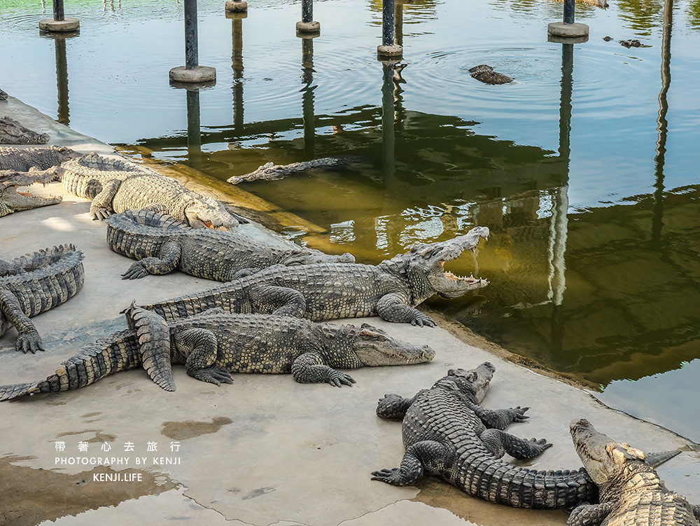 th-ayutthaya-travel-56