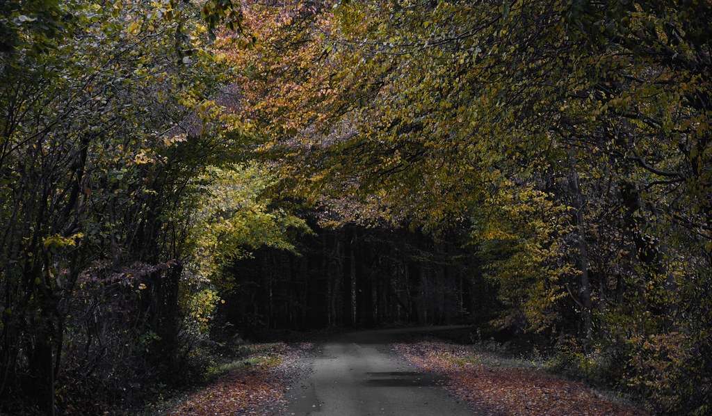 Kirchweg; Wohlde im Herbst, Stapelholm (1)