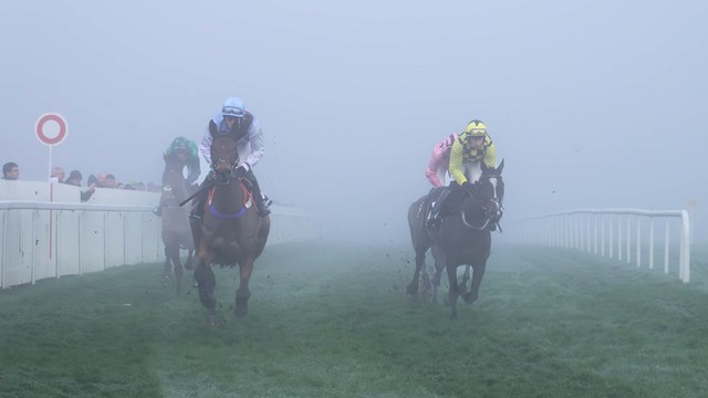 A foggy day at Naas