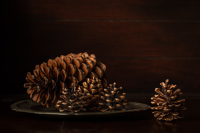 Pinecones on a tin plate