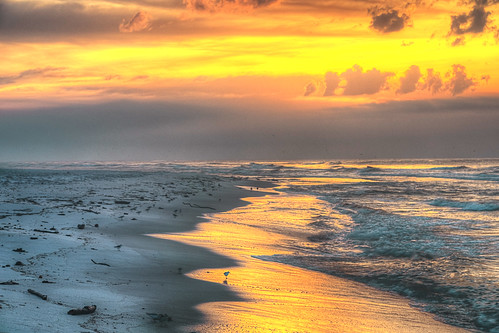sunrise beach shoreline colorful seagulls reflection sky daybreak dawn nationalshoreline gulfcoast horizon perdidokey florida highdynamicrange photograph outdoors
