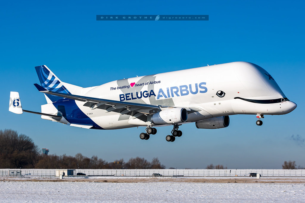 Airbus_BelugaXL_6_F-GXLO_20240109_XFW-2