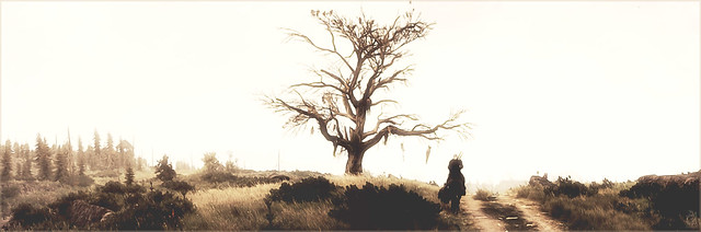 Hanged Men's Tree I The Witcher 3: Wild Hunt