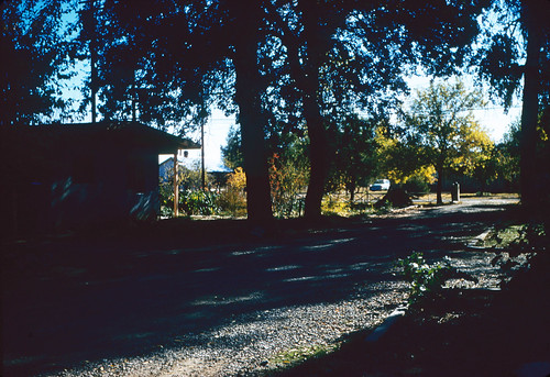 Jewell Lane, Redding, California, USA 
Copyright 1961 Rollin A. Smith