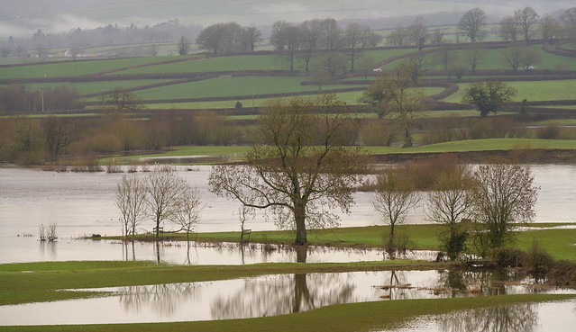 Towy Valley Floods