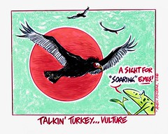 Talking' Turkey ... Vulture