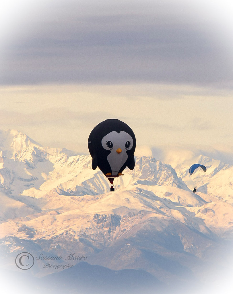 il Volo del Pinguino