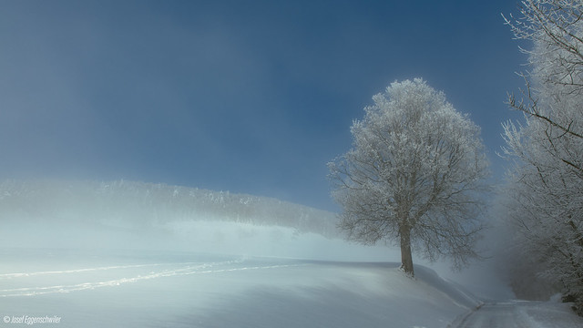 Winter Schnee und Nebel auf dem Passwang/Winter snow and fog on the Passwang