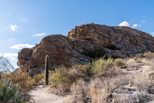 Javelina Rocks trail - Saguaro National Park East Unit