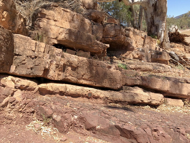 Neoproterozoic 'cap carbonates' of the Nuccaleena Fm, Enorama Creek section, Flinders Ranges, South Australia