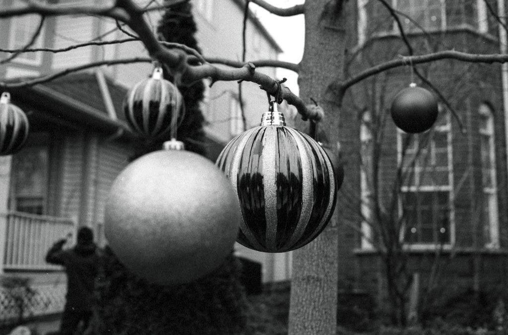 Outdoor Christmas Decorations on Sarah Asbridge