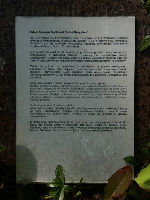 The grave of Polish resistance fighter Antoni Szczęsny Godlewski