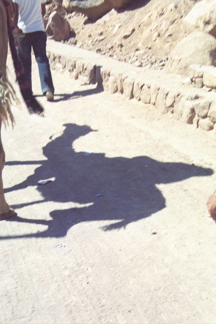 Egypt - Sinai - St Katherine Protectorate - St Katherine's Monastery - Camel Rides (1)