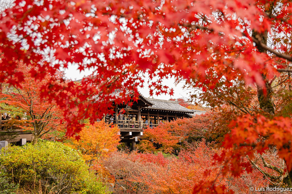 El templo Tofukuji en oto&ntilde;o, una aut&eacute;ntica maravilla