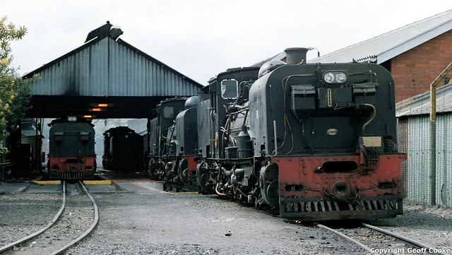 NGG Garratt 152 and others at Harding steam shed