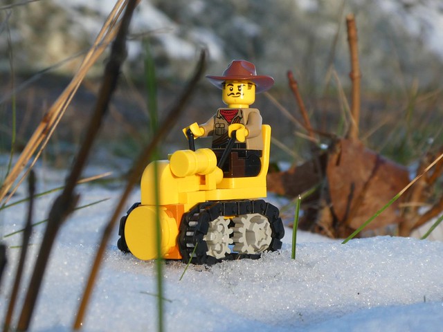 Crawler in the Snow