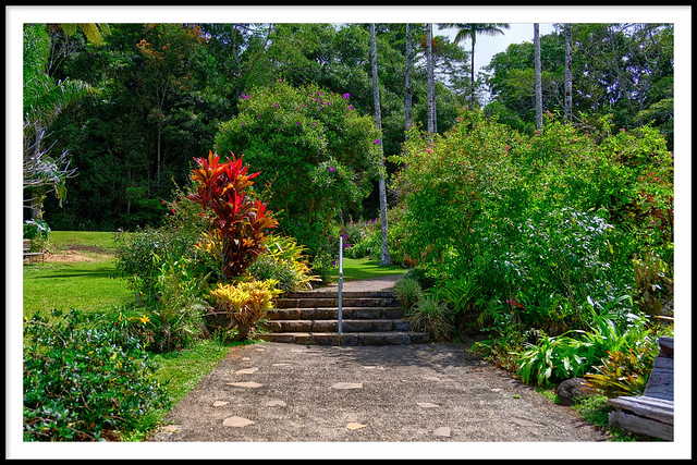 Lake Barrine gardens, Atherton Tablelands, tropical Far North Queensland, Australia