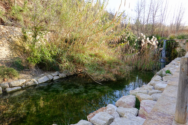 Ruta del agua, Aspe (Alicante). Paisajes semiáridos y acueductos históricos. - Senderismo por España. Mis rutas favoritas: emblemáticas, paseos y caminatas (68)