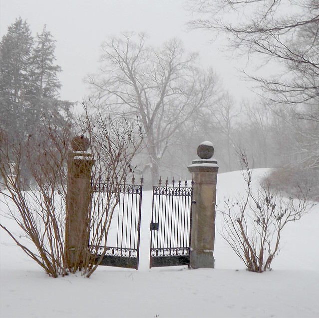 Gate into Winter