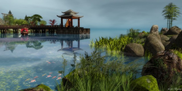 Peace Of Mind - Sanctuary Of The Lotus