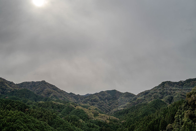 Kawagoe's Tranquil Wilderness: A Scenic Oasis Amidst Progress | DSC04567