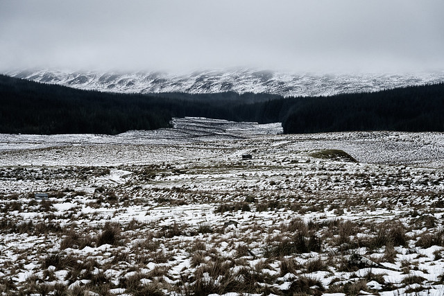 Harsh Scottish Landscape