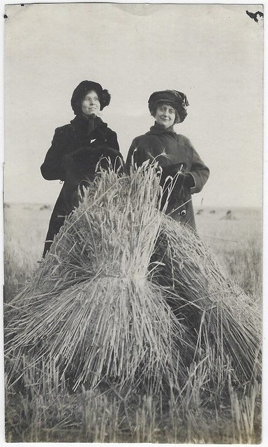 Ladies With Shocks Of Wheat. Gleichen, Alberta. Photograph.