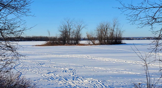 L'isoletta solitaria in un lago gelato - A lonely island in a frozen lake - Un îlot solitaire dans un lac gelé