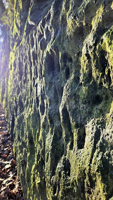 Hucknall Road rock moss