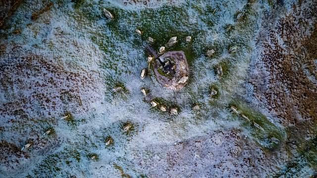 Frosty Callanish stones #2