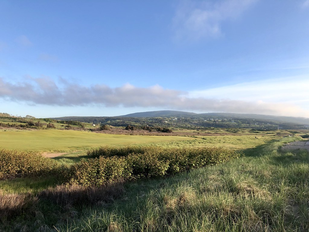 Cabot Links