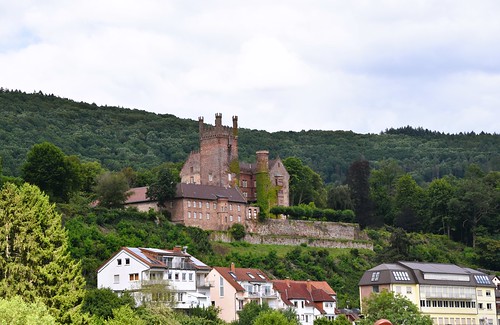 Mittelburg castle, built ca. 1165, Neckarsteinach, Hesse, Deutschland 