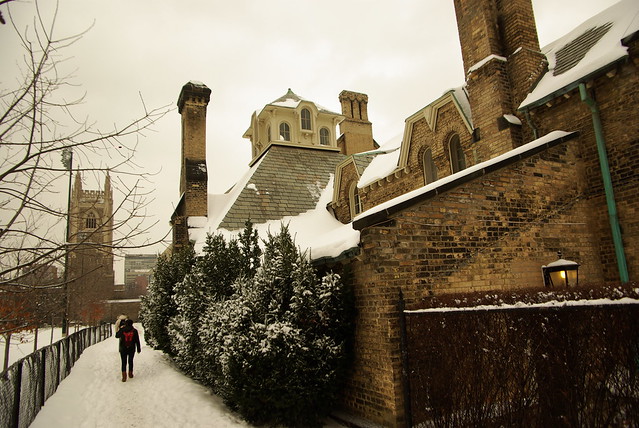 University of Toronto campus in Winter