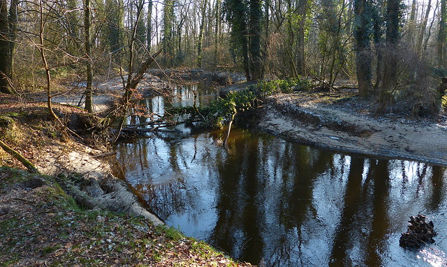 Stream Boven Slinge in nature area Bekendelle in Woold