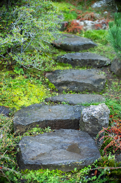 Stone Walking Path