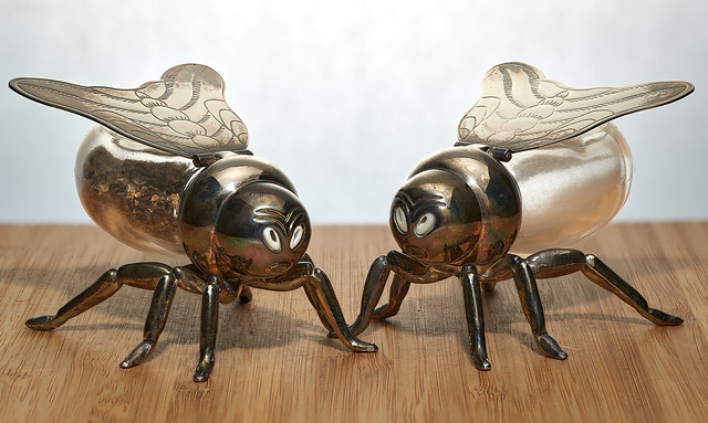 These two flies can visit any table