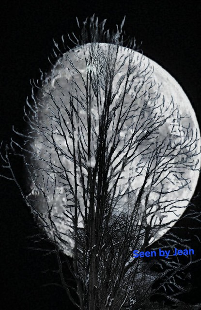 Cold, Cold Moon