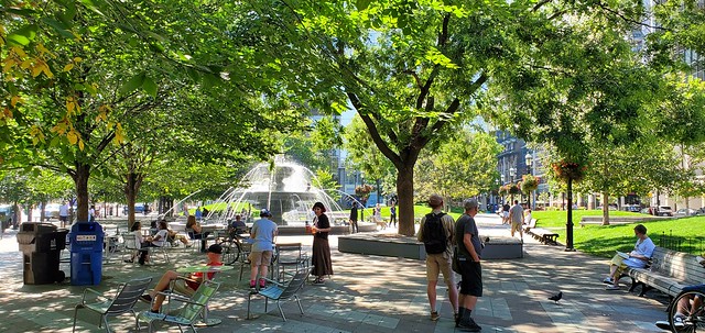 Berczy Park, St Lawrence Market Toronto.  The popular Dog Fountain is in the background.
