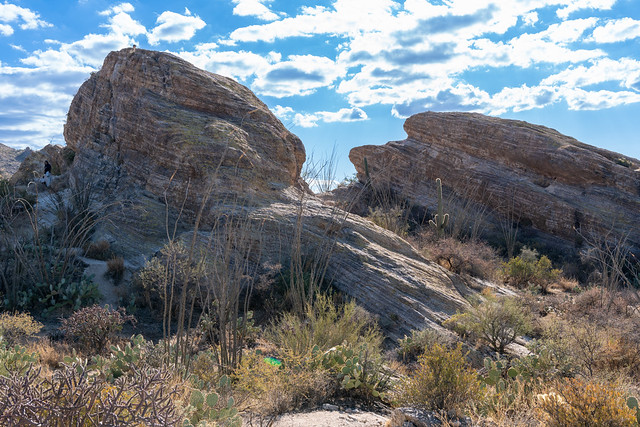Javelina Rocks trail - Saguaro National Park East Unit