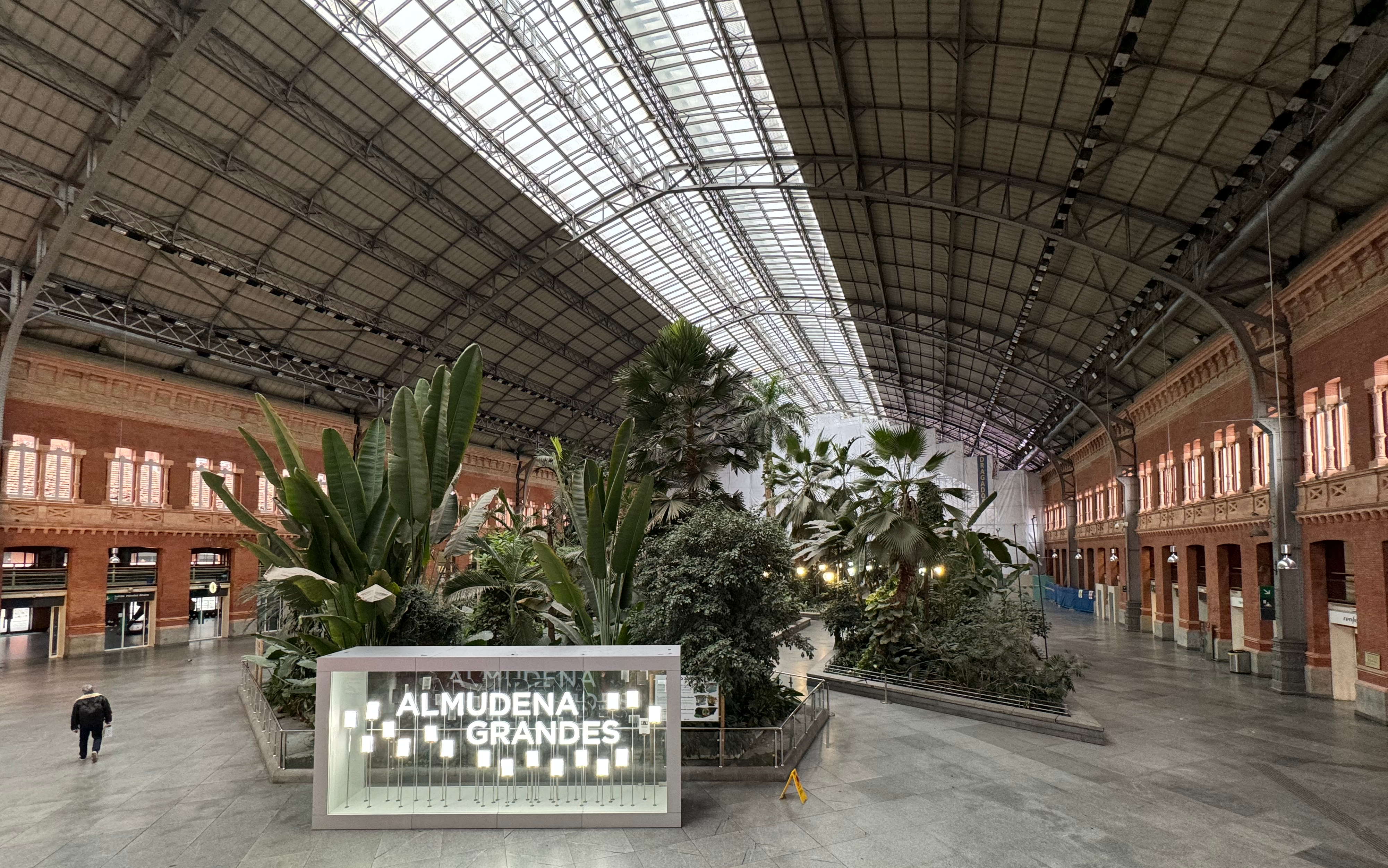 Photo de grandes plantes tropicales dans une gare
