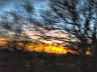 Abstract. Tree, sunset and moving