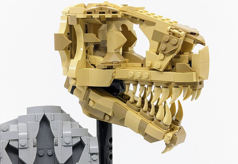 76964: Dinosaur Fossils: T. rex Skull Set Review