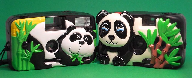 A Pair of .... Pandas !