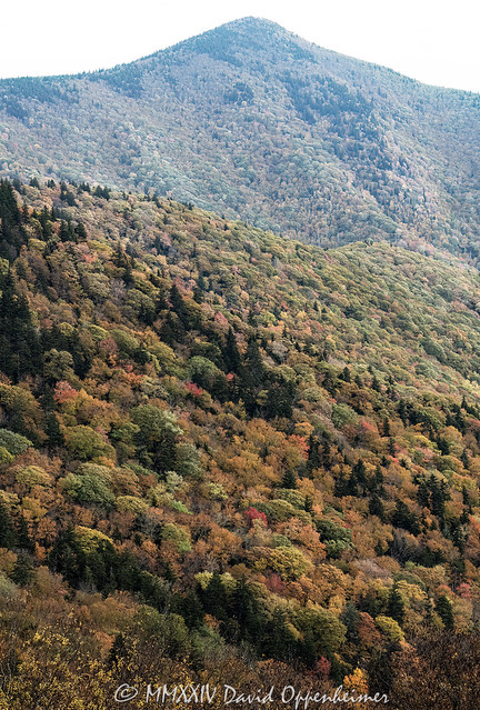 Blue Ridge Pinnacle along the Blue Ridge Parkway with Autumn Colors