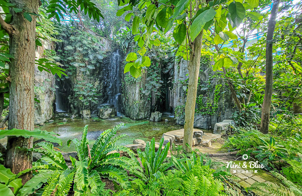 國立自然科學博物館植物園  門票 台中景點 雨林15